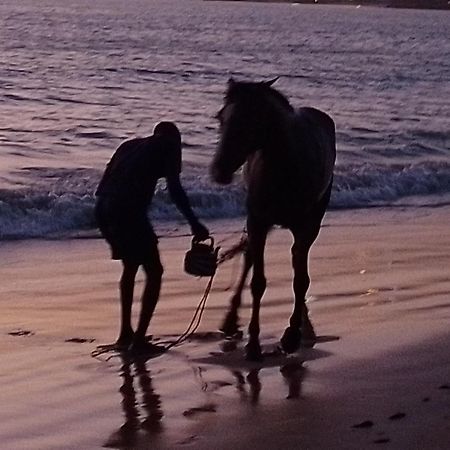 Paradisplage, 1 Minute De La Mer Сали Портудал Екстериор снимка